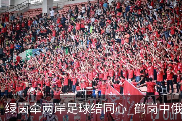 绿茵牵两岸足球结同心 鹤岗中俄足球赛事搭建跨境人文交流桥梁